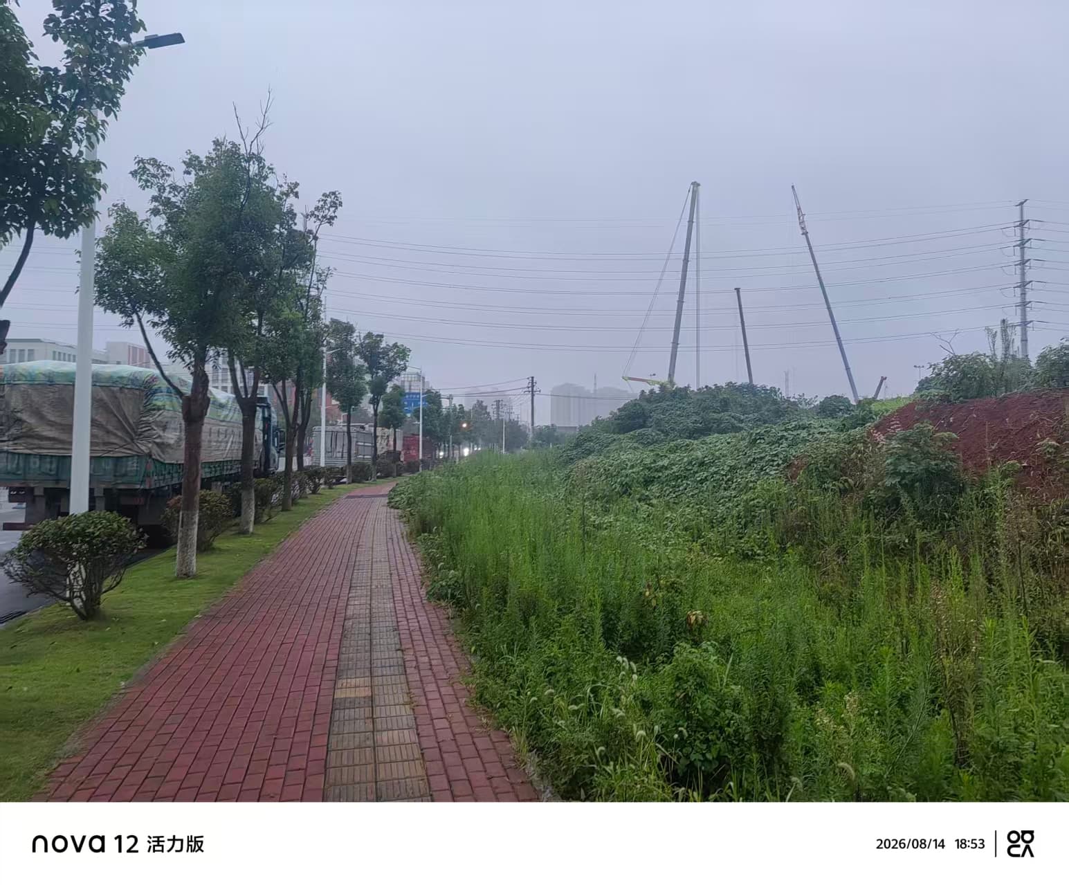 朦朦胧胧