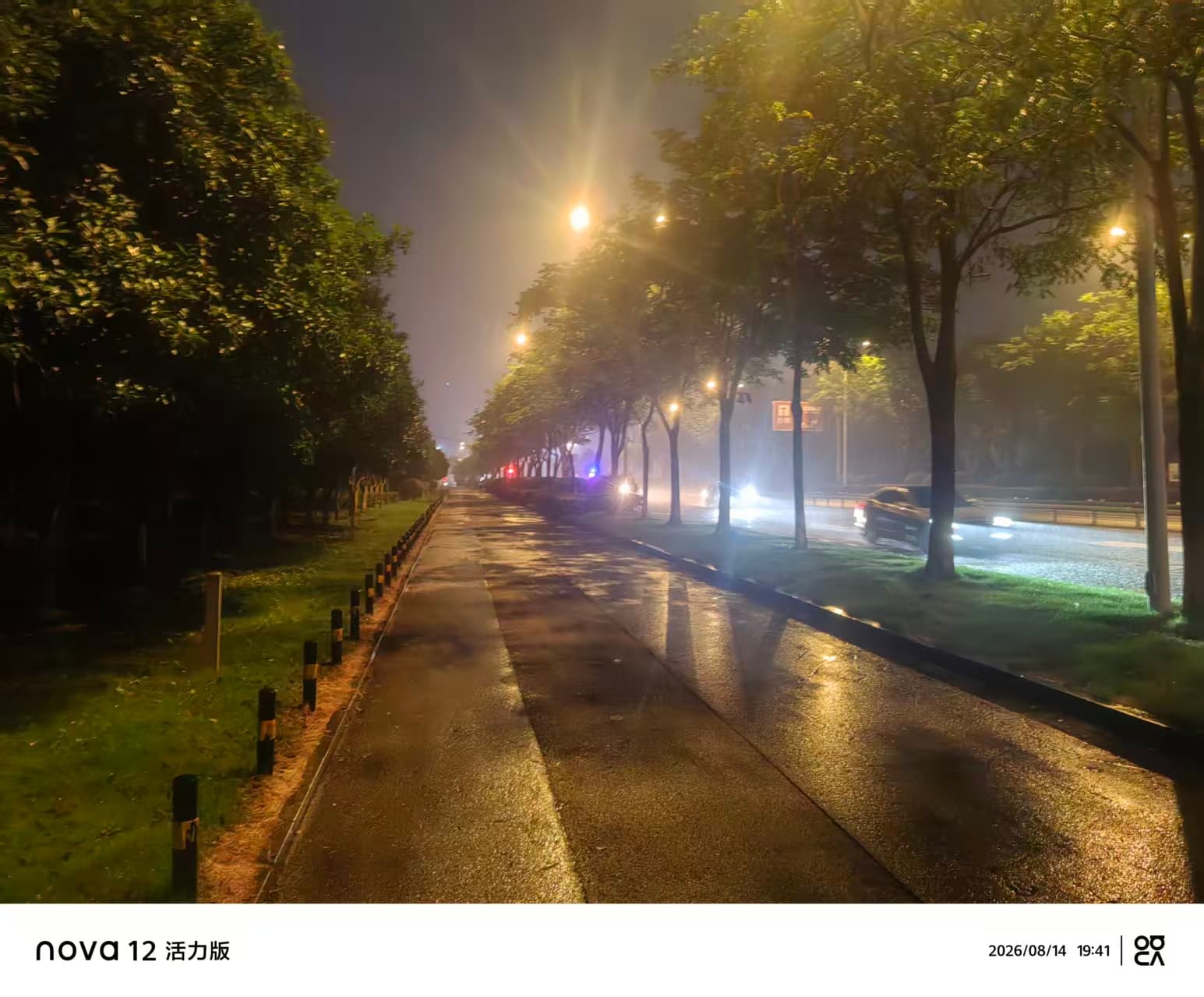 夜间小路