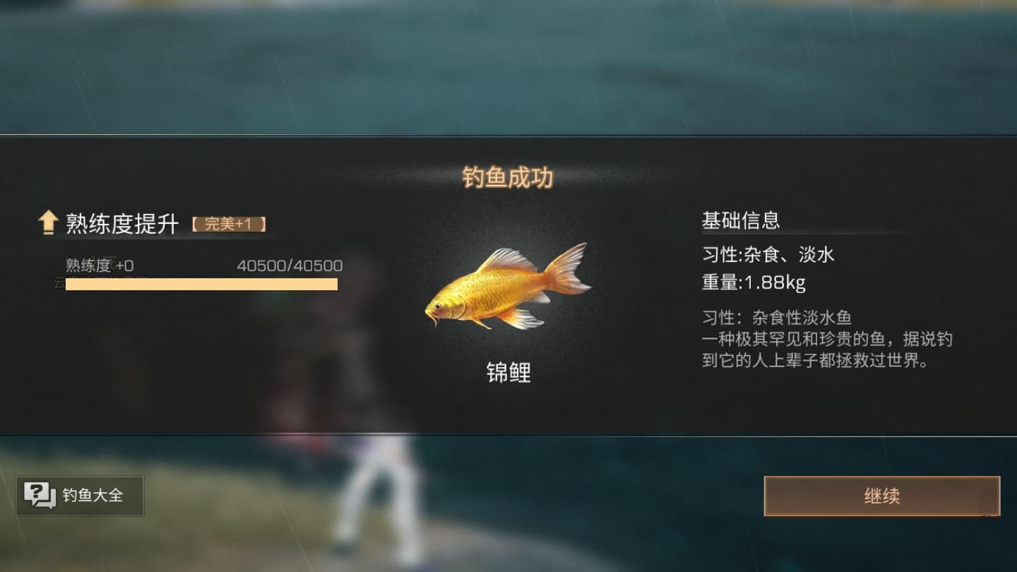 锦鲤